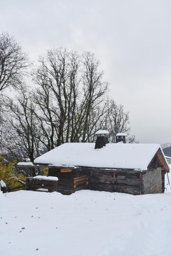 Chez Nonna - Charmant Demi-Chalet A La Montagne Notre-Dame-de-Bellecombe Buitenkant foto